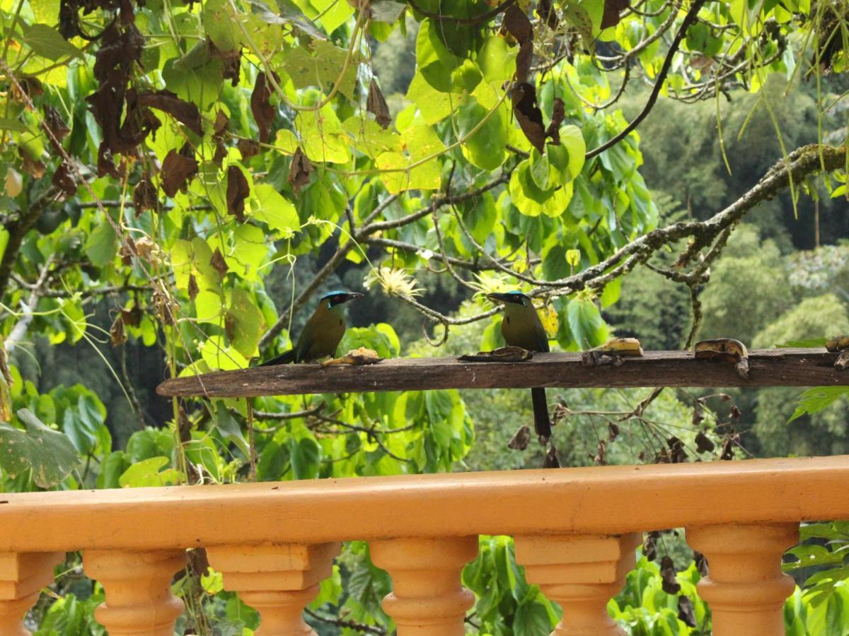Ecohotel Otrolado Lodge Los Andes  Екстериор снимка